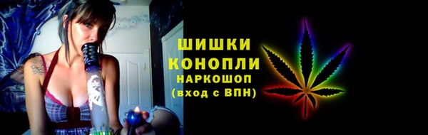 СК Медвежьегорск